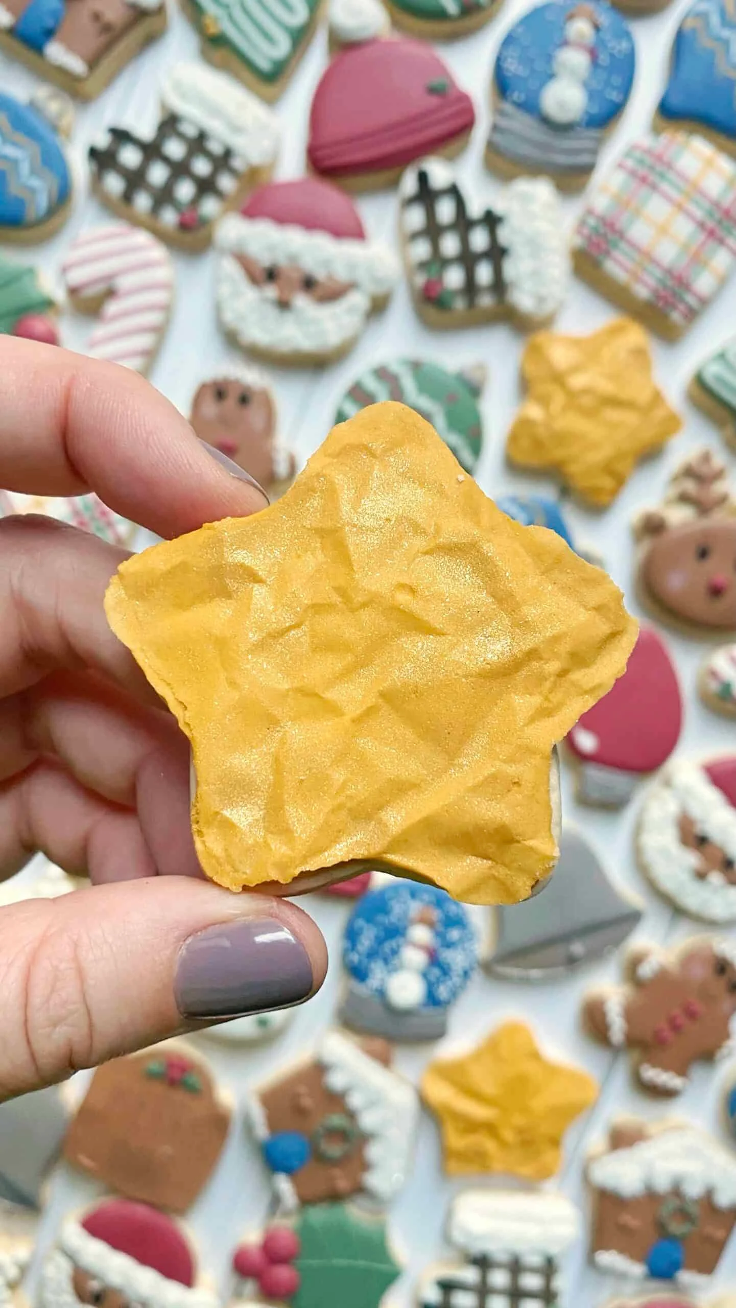 Christmas Star Cookies