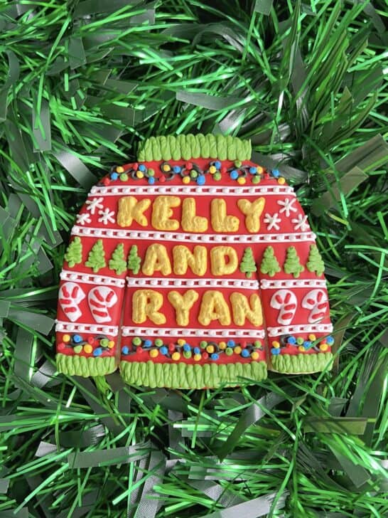 cookie decorating brand partnerships with the kelly and ryan show 