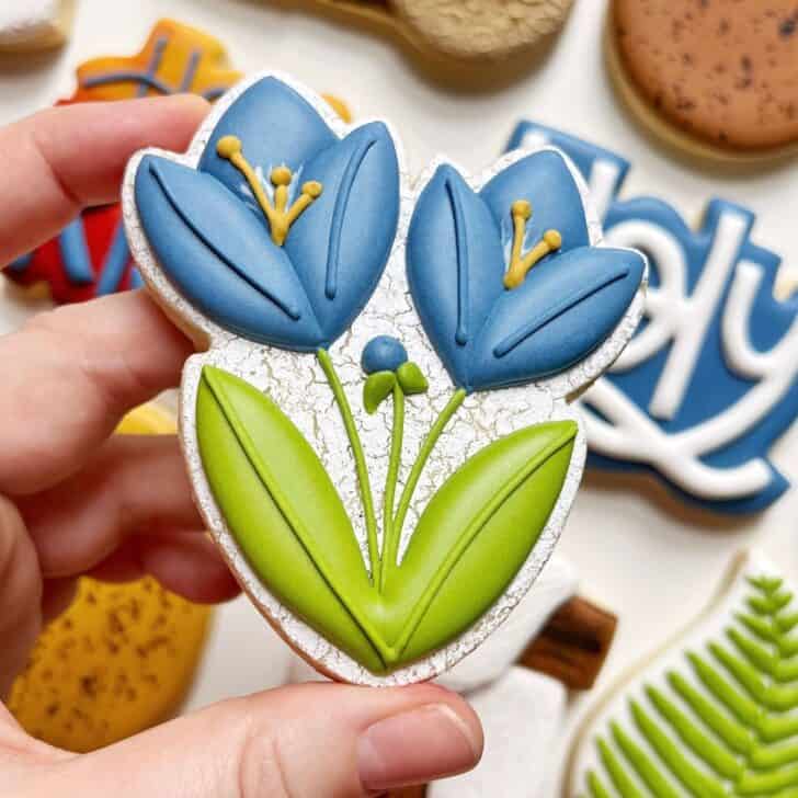 crackle effect on crocus sugar cookie decorated with royal icing 