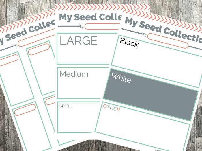 The Inspired Treehouse - These printable activities for kids are the perfect way to say hello to spring!