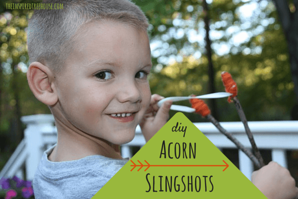 projects for kids acorn slingshots 2