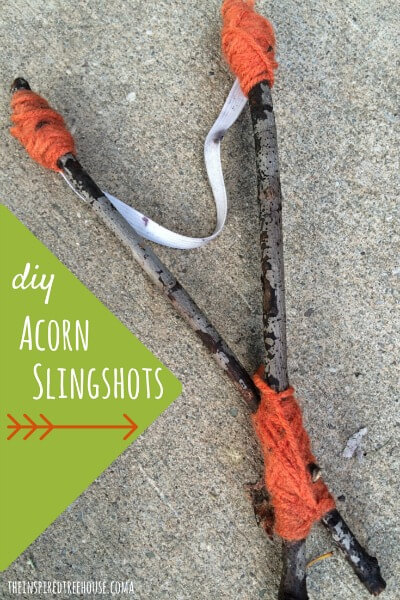 acorn slingshots title resized