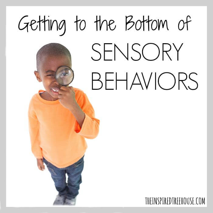 sensory behaviors 2