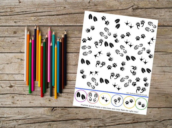 The Inspired Treehouse - Visual perception activities like this one are the perfect entertainment for a cold, snowy winter day!