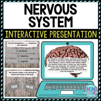 Nervous System Interactive Google Slides™ Presentation | Digital
