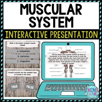 Muscular System Interactive Google Slides™ Presentation | Digital