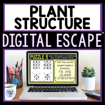 Plant Structure DIGITAL 360 Escape Room