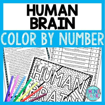 Human Brain Color by Number, Reading Passage and Text Marking