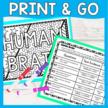 Human Brain Color by Number, Reading Passage and Text Marking - Image 3