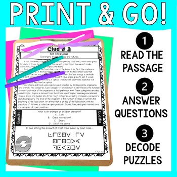 Food Chain ESCAPE ROOM Activity - Reading Comprehension - Ecosystems - Image 2