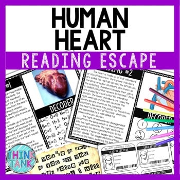 Human Heart Reading Comprehension and Puzzle Escape Room - Circulatory System