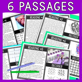 Human Heart Reading Comprehension and Puzzle Escape Room - Circulatory System - Image 2