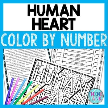 Human Heart Color by Number, Reading Passage and Text Marking