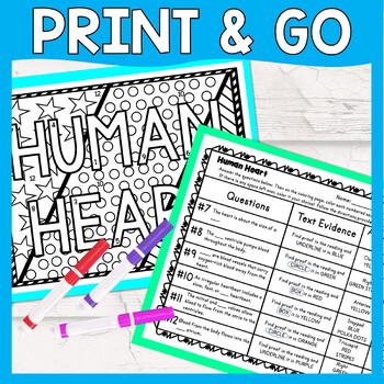 Human Heart Color by Number, Reading Passage and Text Marking - Image 3