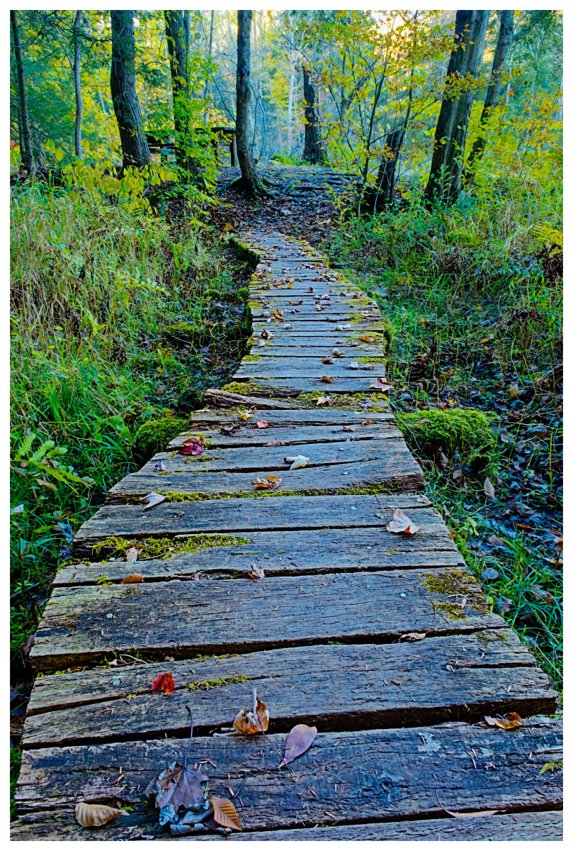 Old Boardwalk