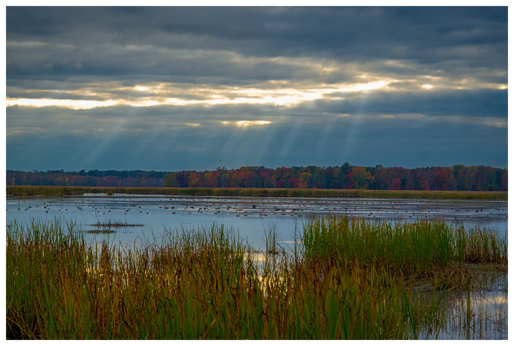 Sun Streaming Down on the Marsh