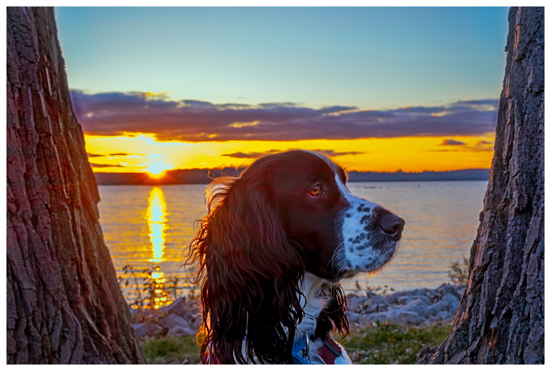 Caden Waiting for Sunset