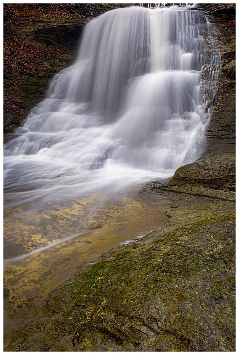 Guppy Falls