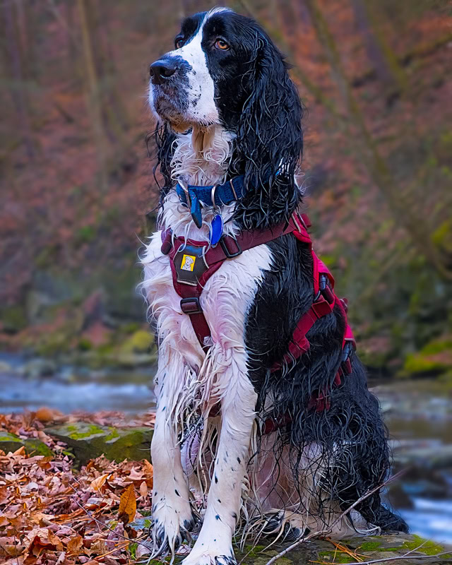 Caden on the photoshoot at great gully falls