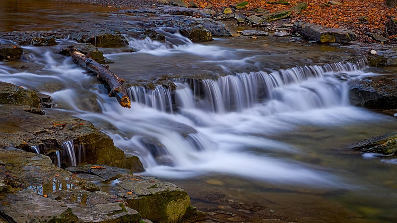 Log beached on the limestone ledges at Great Gully Falls