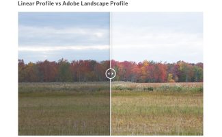 What Lightroom Profiles Are You Using? Not Presets