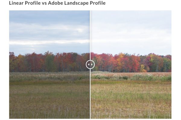 What Lightroom Profiles Are You Using? Not Presets