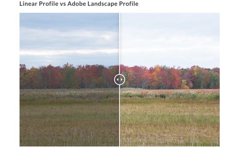 What is an adobe lightroom profile
