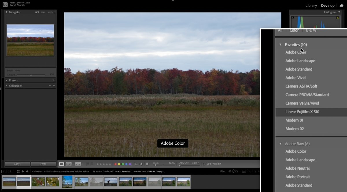 Using Adobe Light Room Profiles