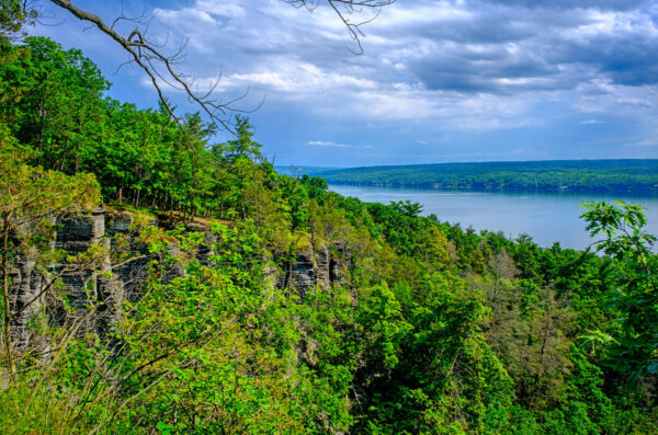 Sims-Jennings Preserve at Cayuga Cliffs Has Photographic Possibilities