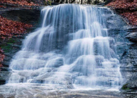 Guppy Falls – November 25, 2024 365 Project