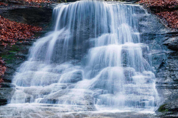 Guppy Falls – November 25, 2024 365 Project