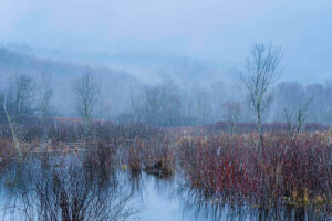 Snowfall in the Marsh – November 28, 2024 365 Project
