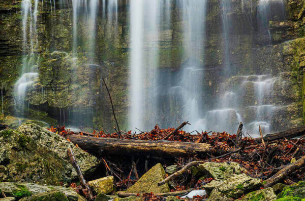 Three Falls Woods – November 24, 2024 365 Project