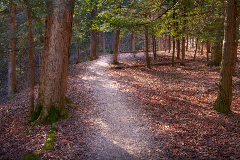 The Skaneateles Conservation Area has many wonderful trails including this one leading to Guppy Falls along the edge of the ravine.