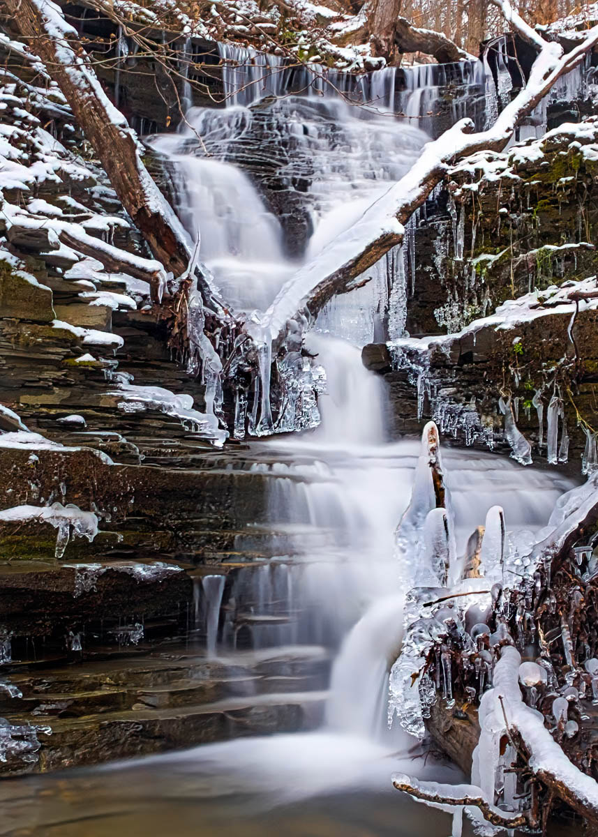 In the spring small streams flow well enough to get some nice photographs like this one at Hinchcliff Family Preserve where the roots, branches, and fallen trees are covered in ice.