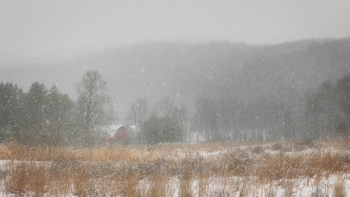 A Lake Effect snow storm on the farm.