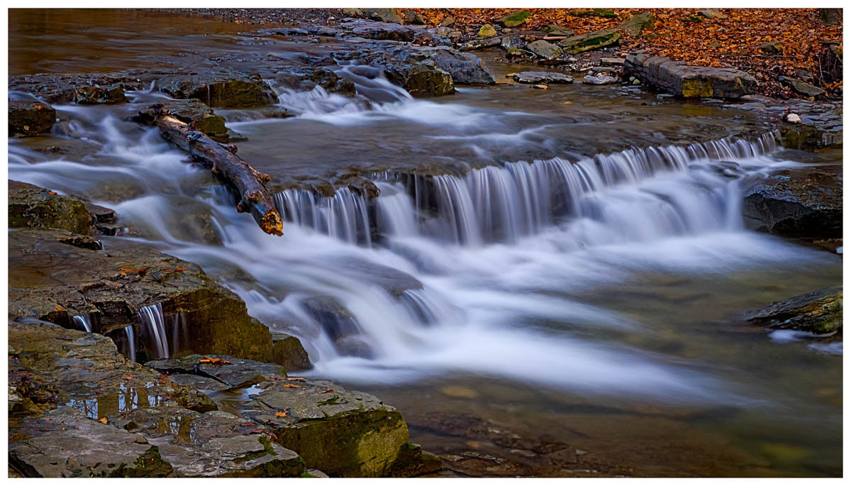 A log caught at the top of some waterfalls at Great Gully.