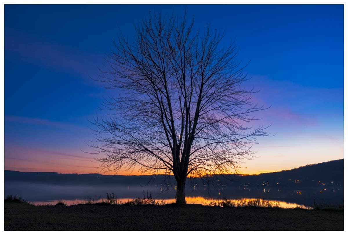 The moon peaking through the branches of a maple tree on the shores of Otisco Lake during blue hour.