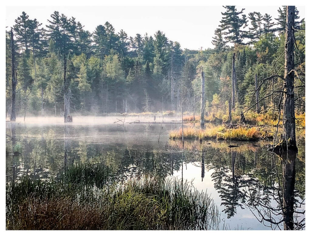 Morning mist rising off a bay of Cranberry Lake at the beginning of autumn.