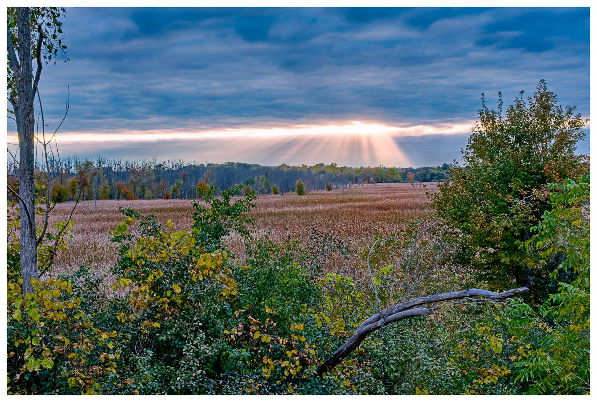 Sunset sun rays shining through the clouds at Montezuma National Wildlife Refuge.