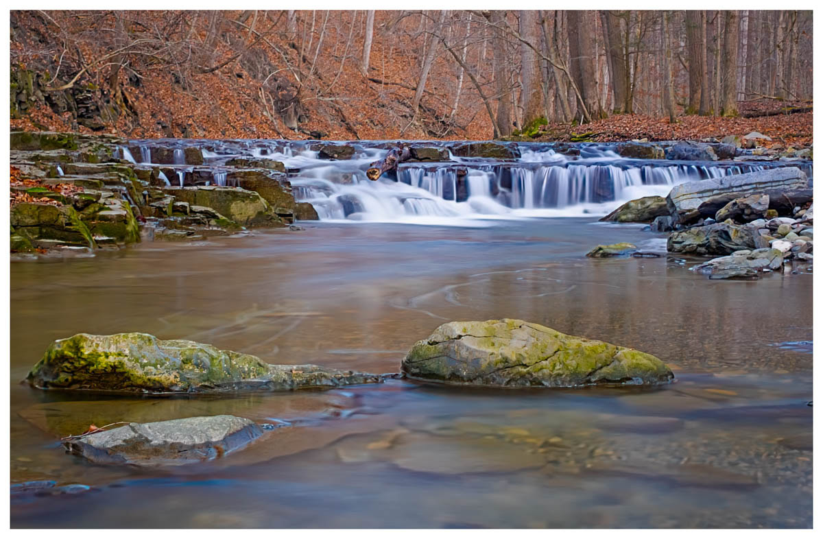 A view of the lower falls at Great Gully taken from the middle of the creek.