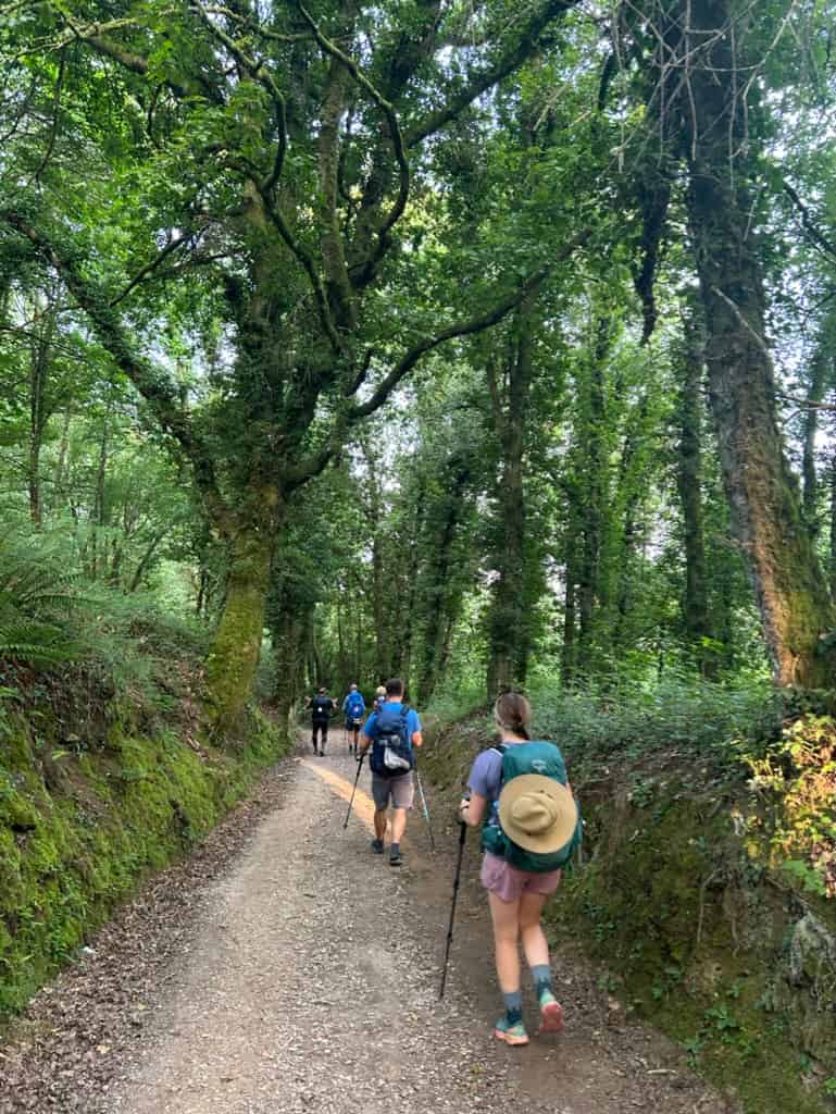 Pilgrims hiking through a forest in Galicia on the Camino de Santiago
