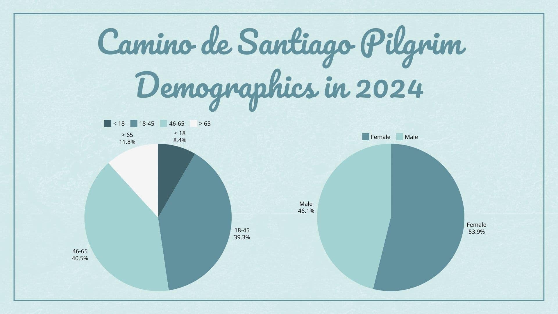 Camino de Santiago pilgrim demographics in 2024 shown in two pie charts. The first pie chart shows ages: < 18 at 8.4%, 18-45 at 39.3%, 46-65 at 40.5%, and > 65 at 11.8%. The second pie chart shows gender breakdown with 46.1% of hikers male and 53.9% female.