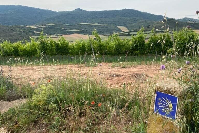 Trail marker with yellow Camino shell symbol alongside a dirt trail with a vineyard and mountains in the distance