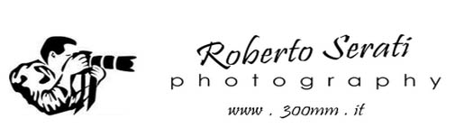 partner-300mm