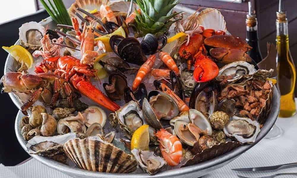 Oyster Ibiza