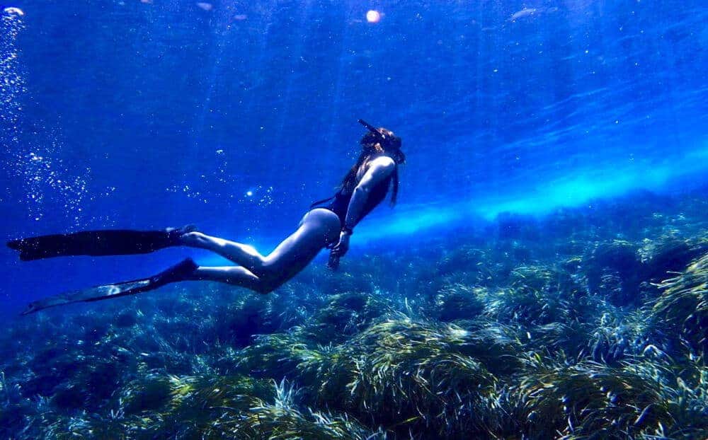 aquadivingcentercentrobuceoibiza12 1