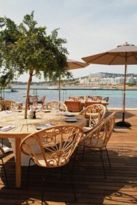 Singe Ibiza