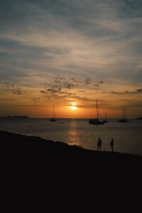 Singe Ibiza