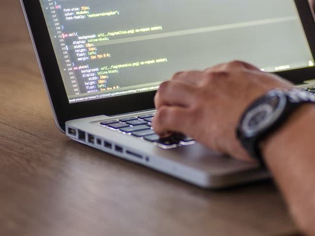 Web Developer Coding